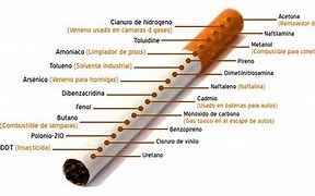 Image result for cugarrillo