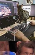 Image result for Mouse and Keyboard Meme