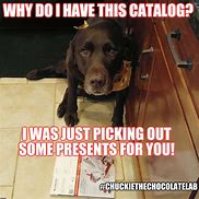 Image result for Funny Memes Catalogs