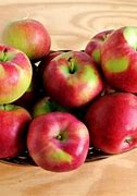 Image result for Paula Red Apples