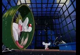 Image result for Pinky and the Brain Christmas