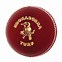 Image result for Kookaburra Cricket Ball Clip Art