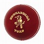 Image result for Kookaburra Cricket Ball Logo