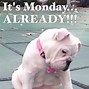 Image result for Monday Tomorrow Meme