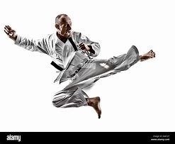Image result for Karate Man in Kata