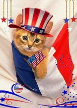 Image result for Memorial Day Cat Meme