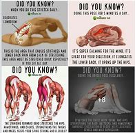 Image result for Did You Know Yoga Poses