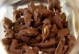 Image result for Chocolate Covered Bees