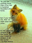 Image result for Cute Adorable Animal Quotes