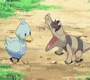 Image result for Pokemon Quilava Meme