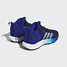 Image result for Adidas Back and Blue Basketball