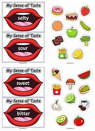 Image result for Kindergarten 5 Senses Taste