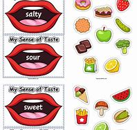 Image result for 5 Senses Taste Test Foods