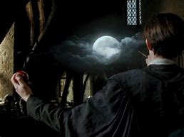 Image result for Harry Potter Moon Frogs
