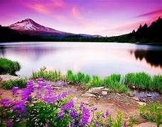 Image result for HD Nature Wallpapers 1920X1200