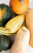 Image result for Types Winter Squash Grown in Mexico