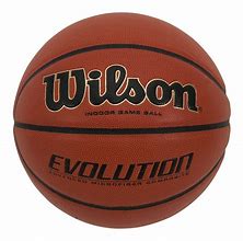 Image result for Wilson Indoor Basketball