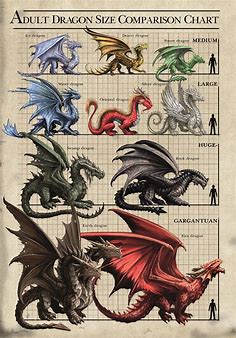 Size Chart Dragons Card | Dragon artwork, Dragon pictures, Dragon drawing