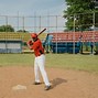 Image result for Fungo Bats