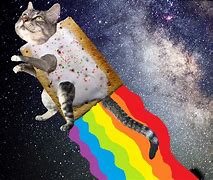 Image result for Realistic Nyan Cat