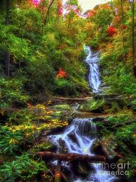 Image result for Amy Waterfall Images