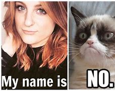 Image result for Cat Meme Name