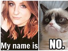 Image result for Warrior Cats Funny Memes Clean