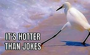 Image result for Hot Note Funny