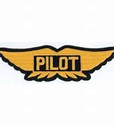 Image result for Pilot Wings Patch
