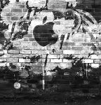 Image result for Apple Background Black and White
