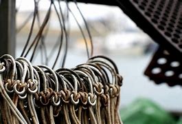 Image result for Galvanized Hooks