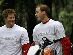 Image result for Duke of Sussex Book