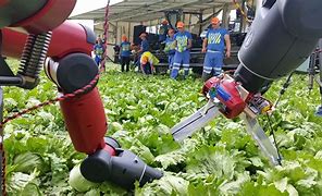 Image result for Types of Agricultural Robots
