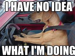 Image result for Driving Meme Pic