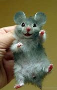 Image result for Funny Mouse