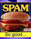 Image result for Spam Slices