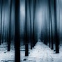 Image result for Dark Tree Wallpaper Forest
