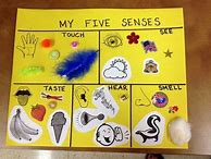 Image result for 5 Senses Art Activity