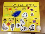 Image result for Activities for Teaching the Five Senses