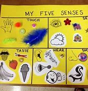Image result for Five Senses Smell Activities