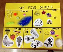Image result for 5 Senses Sight Activities