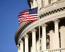 Image result for U.S. Capitol Black and White