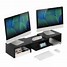 Image result for Dual Monitor Stand Rider