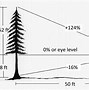 Image result for How Far Is 100 Feet Visually