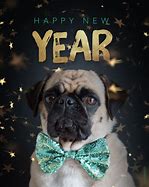 Image result for New Year Puppy