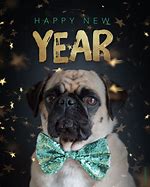 Image result for Dog New Year Meme