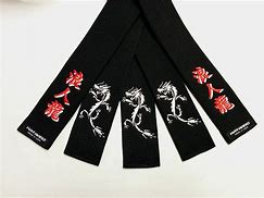 Image result for Japanese Karate Belt