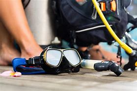 Image result for Dive Equipment