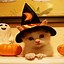 Image result for Kawaii Halloween Background