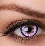 Image result for Buy Contact Lenses